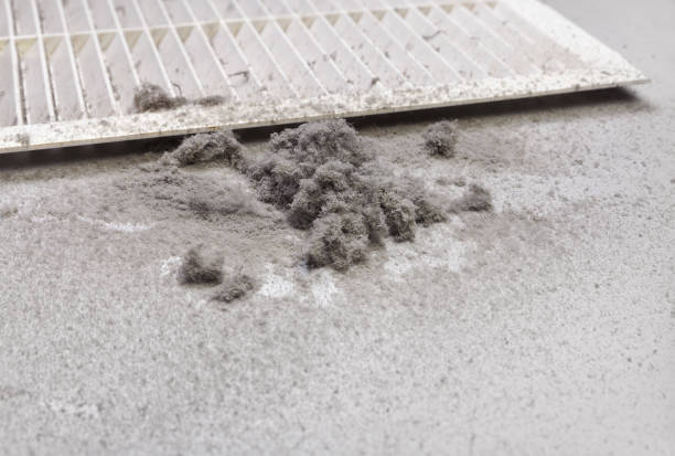 Best Home Air Vent Cleaning  in St Leon, IN