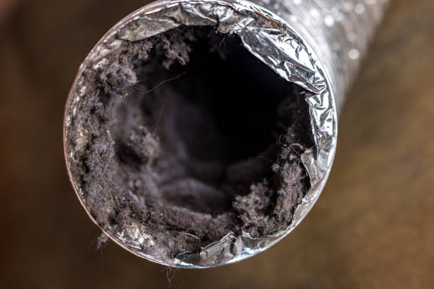 Best Ductwork Cleaning Services  in St Leon, IN