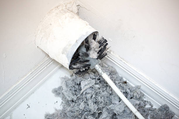 Best Local Air Duct Cleaning Services  in St Leon, IN