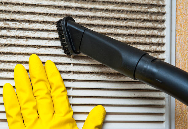 Best Affordable Duct Cleaning Services  in St Leon, IN